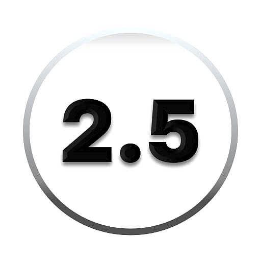 2.5 mm